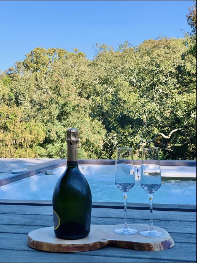 F2 Avec Jacuzzi, Petanque, A 3 Min Mer, Dans Grande Propriete Porticcio  Exteriör bild